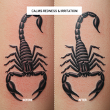 Tattoo Aftercare Duo